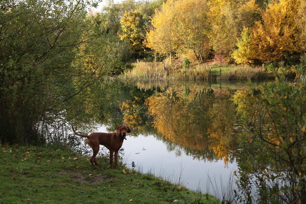 Greenbanks Hotel Norfolk Great Fransham ภายนอก รูปภาพ